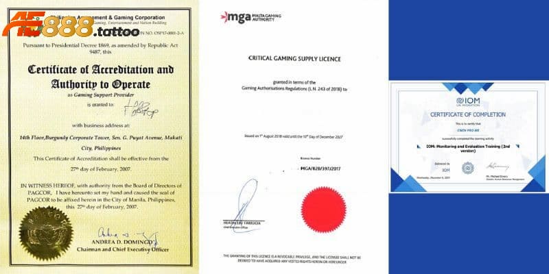 Các loại giấy phép hoạt động hiện có của nhà cái AE888