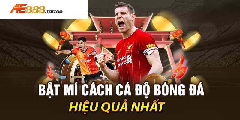 Bật mí chiến thuật cá cược thể thao thông minh dễ thắng