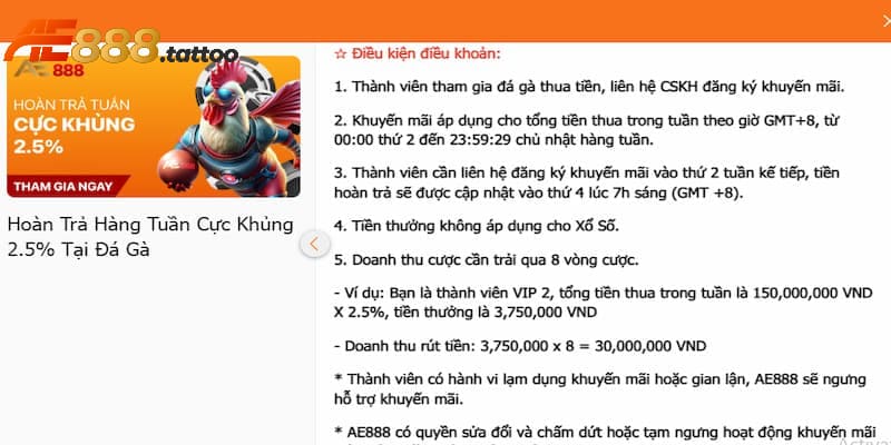 Điều kiện điều khoản khuyến mãi hoàn trả đá gà tại AE888