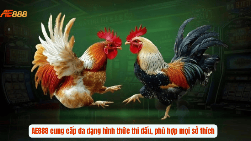 AE888 cung cấp đa dạng hình thức thi đấu, phù hợp mọi sở thích